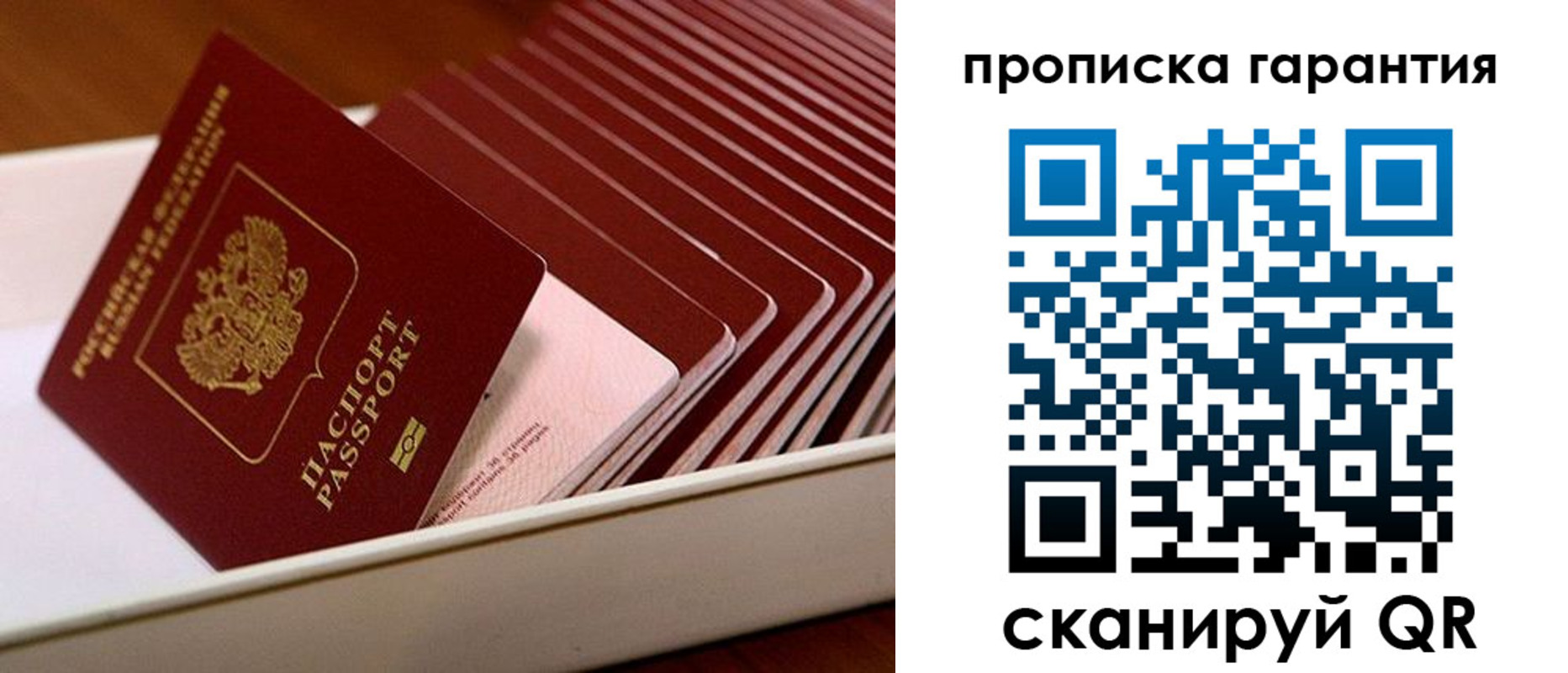 прописка поиск в Самаре